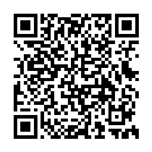 自然能从客人的穿着打扮中看出客人的钱袋分量二维码生成