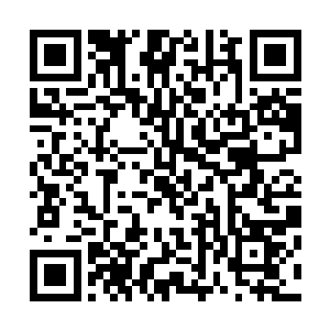 自然能看的出这些人在返虚镜这个层次上已经修炼到了极致二维码生成