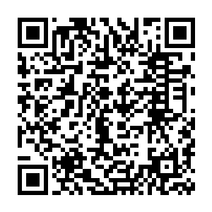 自然要比整天只知道去攻略男人以间接攻略世界的人修炼速度快一些啦二维码生成