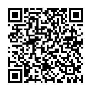 自然让那些记者如无头苍蝇般压根找不到正儿主来采访二维码生成