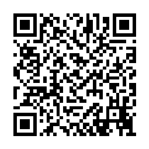 自然轻易的便解决了在黑水世界睁眼如盲的问题二维码生成