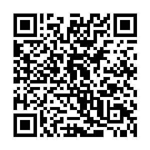 自然都是由居住在这里的一名名始境强者自己布置的二维码生成