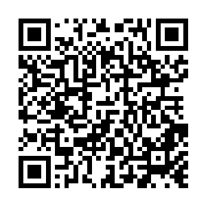 自由属性点是提升两个职业等级才能获得一点的宝贵资源二维码生成