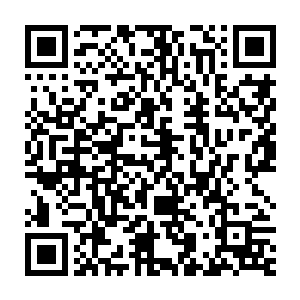 自私透顶的王八蛋……你的筹码居然是到了最后剩下我和孩子们……二维码生成