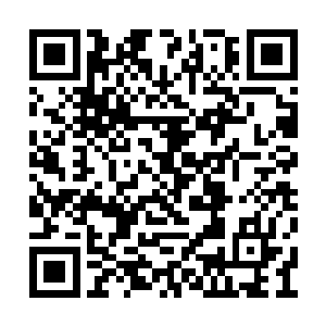 自老板娘回来的那天开始便不遗余力地在炼化着二维码生成