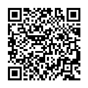 自蛮荒古地里得到的十几万株帝级灵药药效也都不再流逝二维码生成