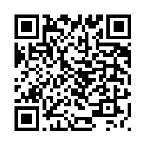 自行车滑行在公园路的林荫大道上二维码生成