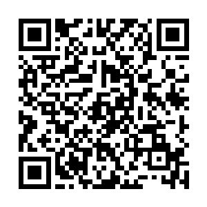 自负也罢……封不觉确是没有对这件事感到任何的意外二维码生成