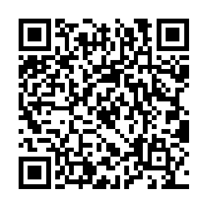 自踏上这片陆岛之后他便生出一种极为奇特的感觉二维码生成