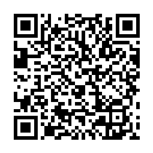 自身与之相比显得渺小的瑶池就这么静静躺在这只手掌中二维码生成