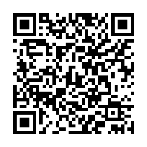 自身的体内和力量恢复起来也猛然加快了几个档次二维码生成