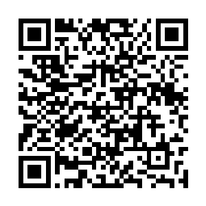 自迟早是要收她回宫里……后宫是我体制的一部分二维码生成