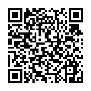 臭小子小时候有一次把家里的一个大碟子给摔碎了二维码生成