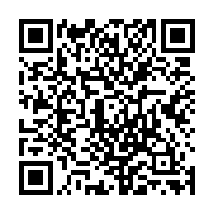 至于两人的双手此刻也是重重的轰砸在龙王的小腹之上二维码生成
