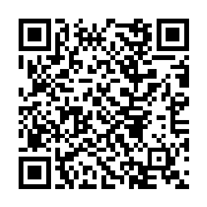 至于五十五岁以上的老人则跟孩子们一起去割牧草二维码生成