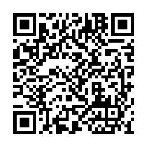 至于他…回头看着不远处向自己走来的白衣女子二维码生成