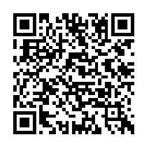 至于他们的她觉得还是等苏墨尘来了再点比较好二维码生成