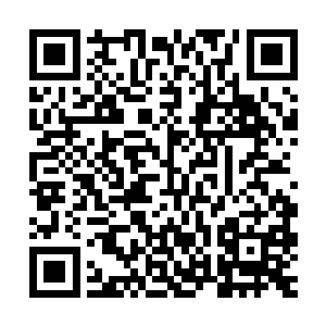 至于他们的领域内有没有一座可以容纳快乐王子和小燕子的花园二维码生成