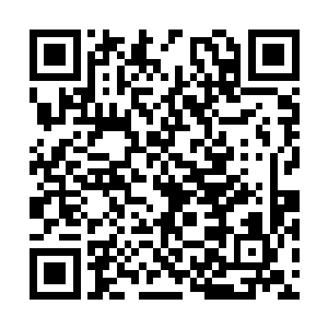 至于他们这样偏居一隅的小势力根本就不可能拥有二维码生成