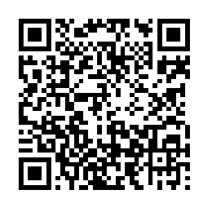 至于他究竟是得到了怎样的奇遇才有了这一身本事二维码生成