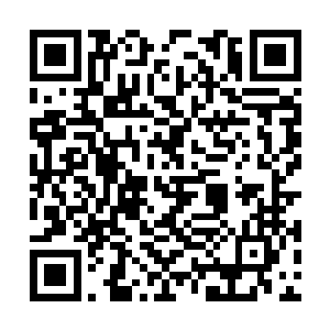 至于仙君期一下的那些姜家修士许紫烟不再去理会二维码生成