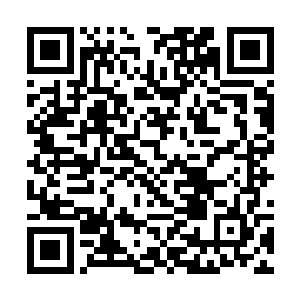 至于仙风道骨的师父为何会收了这个土匪模样的徒弟二维码生成
