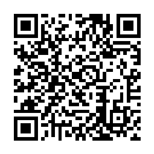 至于任沧澜好像是离开洞府之后半路被神秘人击杀了二维码生成