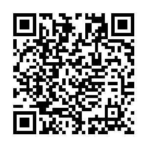 至于任琦宁那个心心念念想要复国的人自然也不会放过二维码生成