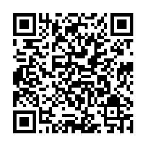 至于何赌王的那些小字辈则是恭恭敬敬的称一声福伯二维码生成