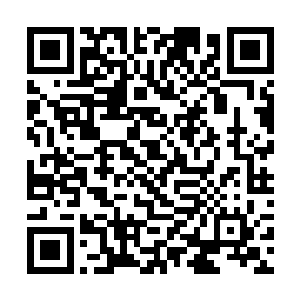 至于你儿子会比你晚一年是因为他和你父亲隔了一代二维码生成