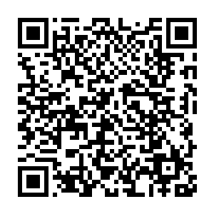 至于你姐夫嘛……这个就涉及到我们海精灵一族中最重大的秘密了二维码生成