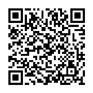 至于你的亲弟弟――我都不知道你的亲弟弟是谁二维码生成