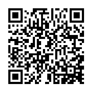 至于你说的生之道韵晚辈还真的没有明白到底是什么二维码生成