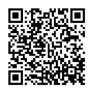 至于你这天书的相关情况……我并不是从左大仙那里知晓的二维码生成