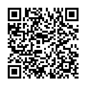 至于先天仙宝之后的提升需要多少混沌之气我也不知道二维码生成