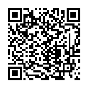 至于其他的三十多名小弟却是先后钻入了后面的奔驰车内二维码生成