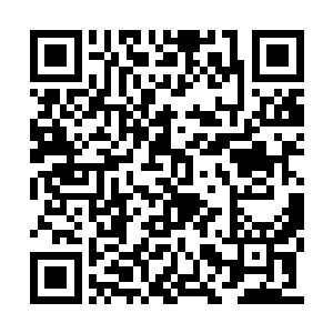 至于其他的人……木萦一时之间竟然想不起来了二维码生成