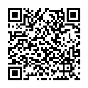 至于其他能说上话的都是各个项目的研发负责人们二维码生成