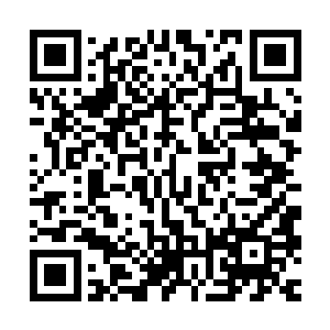 至于其精纯程度却远远无法跟四大圣灵的四大元素本源之力相比二维码生成