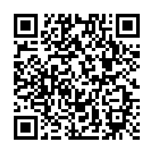 至于具体会写什么……还是那句话――大纲都在脑子里呢二维码生成