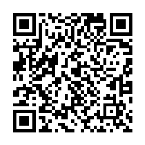 至于刚才的那个黑衣人在爆炸的瞬间就直接被轰成了尘埃二维码生成