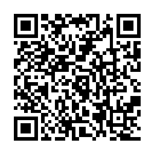 至于剩下的其他的几个人则是清一色的登天六重顶峰的修为二维码生成