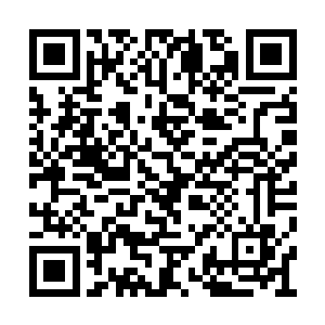 至于卡森以后他要是想玩自己从加州飞来就成了二维码生成