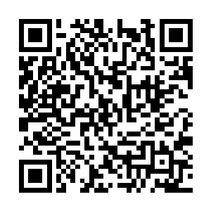 至于另一个小白角……能被人面鲲鹏带回来的小孩二维码生成