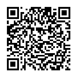 至于只是在云雾森林中的那些修士我没有去理会他们二维码生成