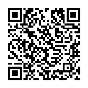 至于四位圣骑为什么没有拦住他们路易斯确实不得而知二维码生成