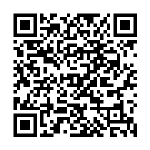 至于在一边的娑娜抱着小龙也是知道现在出了什么状况二维码生成