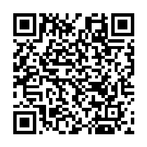 至于在一边的酒店人员此刻早就已经被这一幕给吓傻了二维码生成