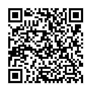 至于坟墓中部左右两端的异状江帆不好提出来去看看二维码生成