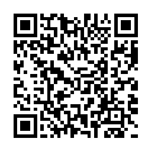至于夏天之前看到的10门首席大弟子和那个三代弟子辰皇二维码生成